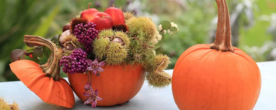 Afbeelding Gevulde pompoen