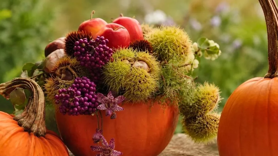 Afbeelding De pompoen die de hele herfst meegaat: vul hem steeds opnieuw
