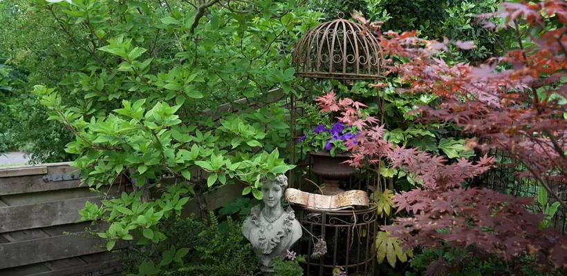 G&B OpentuinTV: Tuin van Mercedes Docter in Heiloo