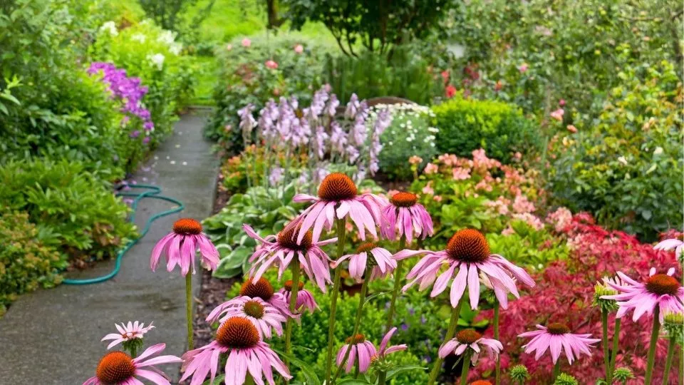 Afbeelding Slim omgaan met water in je tuin: tips voor droge en natte periodes