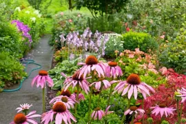 Slim omgaan met water in je tuin: tips voor droge en natte periodes
