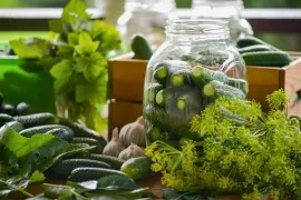 Augurken inmaken: zo bewaar je je oogst (recept)