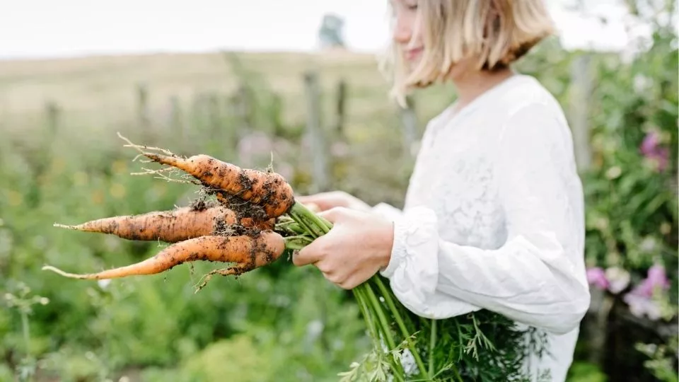 Afbeelding Biologisch tuinieren, wat is dat?