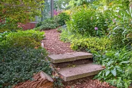 De 10 beste bodembedekkers