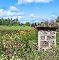 Groei & Bloei Tienpuntenplan: klimaatvriendelijk tuinieren