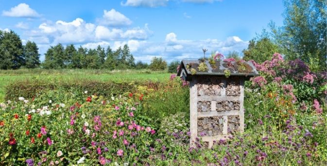 Groei & Bloei Tienpuntenplan: klimaatvriendelijk tuinieren