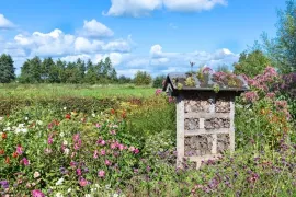 Groei & Bloei Tienpuntenplan: klimaatvriendelijk tuinieren