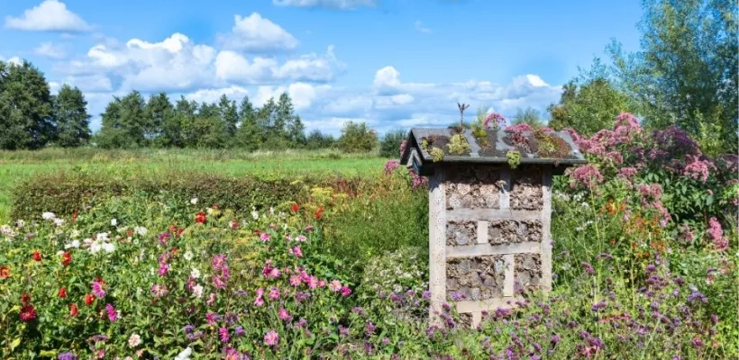 Groei & Bloei Tienpuntenplan: klimaatvriendelijk tuinieren