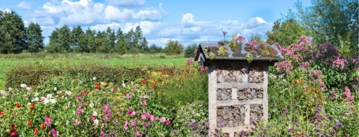 Groei & Bloei Tienpuntenplan: klimaatvriendelijk tuinieren