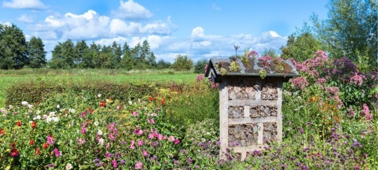 Groei & Bloei Tienpuntenplan: 10 tips voor een klimaatvriendelijke tuin