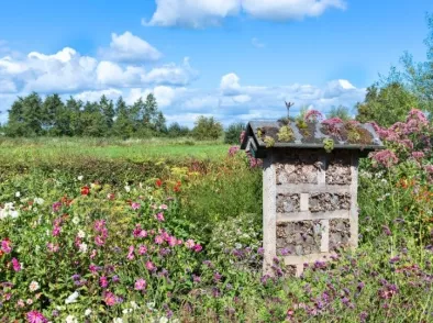 Groei & Bloei Tienpuntenplan: klimaatvriendelijk tuinieren