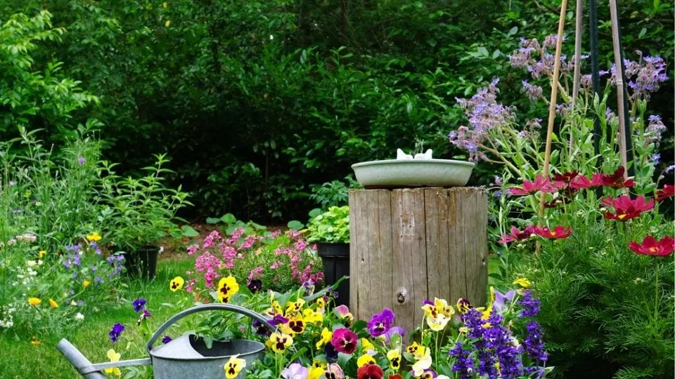 Afbeelding Goedkoop tuinieren: 22 bespaartips voor een mooie, levende tuin