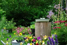 Goedkoop tuinieren: 22 bespaartips voor een mooie, levende tuin