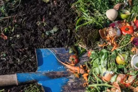 Maak zelf compost: zo werkt composteren in je tuin