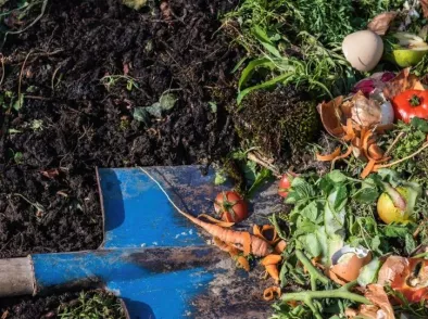Maak zelf compost: zo werkt composteren in je tuin