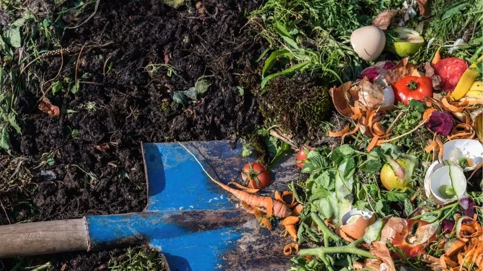 Afbeelding Zelf compost maken: begin gewoon in je eigen tuin