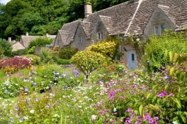 Cottagetuin aanleggen: in 7 stappen naar een romantische bloementuin