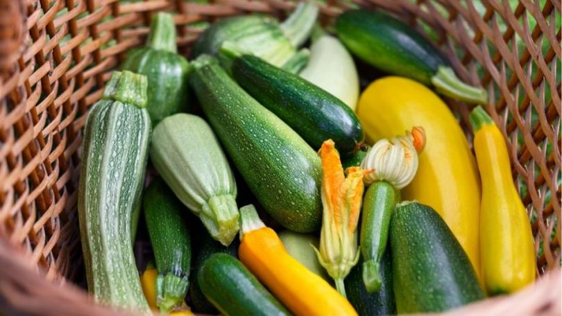 Courgette kweken: van zaaien tot oogst, zo haal je alles uit je plant