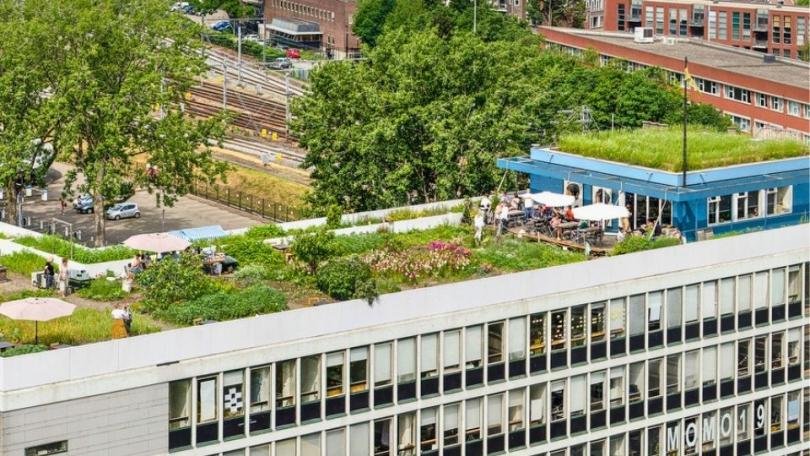 6 bijzondere moestuinen om te bezoeken in Nederland en Vlaanderen