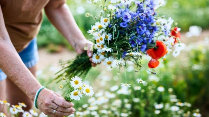 Tuinklussen in juni: 18 klussen voor de drukste tuinmaand