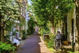 Handige planten voor een geveltuin