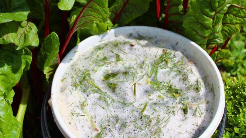 Tuinklussen in april: 17 dingen die je nu kunt doen in de tuin