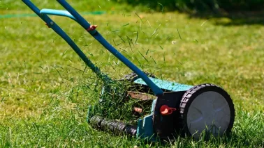 Grasmaaisel laten liggen: gratis voeding voor je gazon