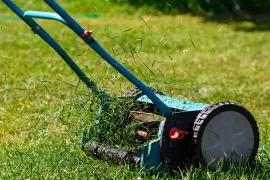Grasmaaisel laten liggen: gratis voeding voor je gazon