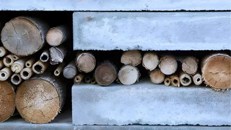 Een insectenbank: een muur vol leven voor insecten
