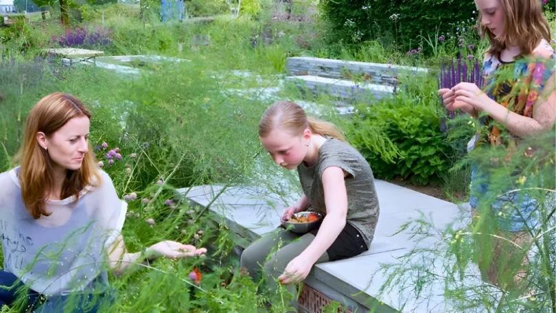 Een insectenbank: een muur vol leven voor insecten