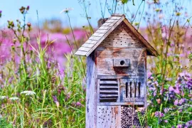 Zelf een insectenhotel maken: meer leven tussen hout, bamboe en baksteen