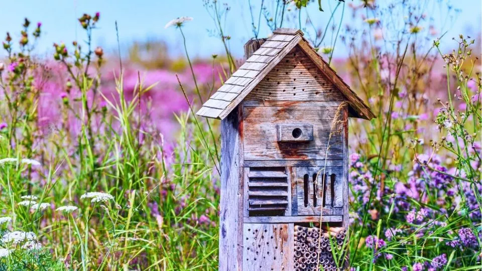 Afbeelding Zelf een insectenhotel maken: meer leven tussen hout, bamboe en baksteen