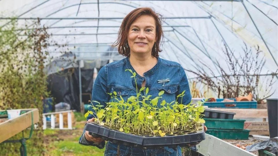 Afbeelding Zaaien maar! Slim zaaien met wat je al in huis hebt