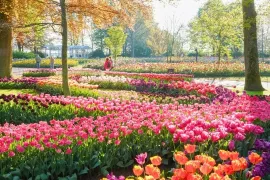 Keukenhof: waar het voorjaar begint