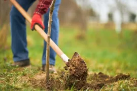 Tuinklussen in april: 19 dingen die je nu kunt doen in de tuin