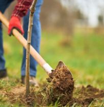 Tuinklussen in april: 19 dingen die je nu kunt doen in de tuin