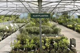 Planten voor aan de kust