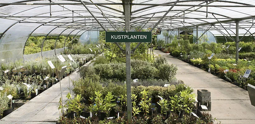 Planten voor aan de kust