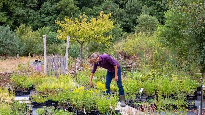 Goedkoop tuinieren: 22 bespaartips voor een mooie, levende tuin