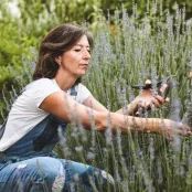 Lavendel snoeien: wanneer doe je dit en hoe?
