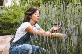 Lavendel snoeien: wanneer doe je dit en hoe?