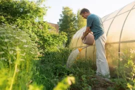 Tuinklussen in mei: 21 x aan de slag in je tuin