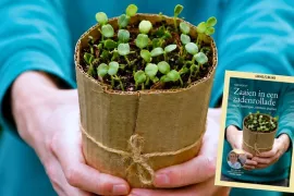 Gratis mini-gids: zaaien in een zadenrollade