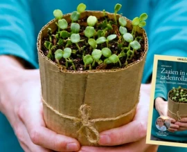 Gratis mini-gids: zaaien in een zadenrollade