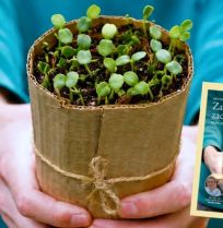 Gratis mini-gids: zaaien in een zadenrollade