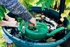 Muggenoverlast in je tuin voorkomen: 5 praktische tips