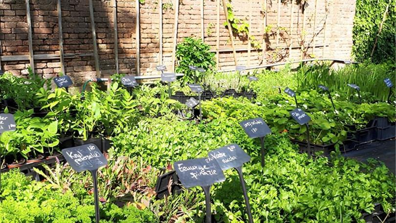 6 bijzondere moestuinen om te bezoeken in Nederland en Vlaanderen