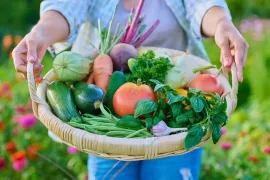 Moestuin in september: oogsten, plukken en stekken