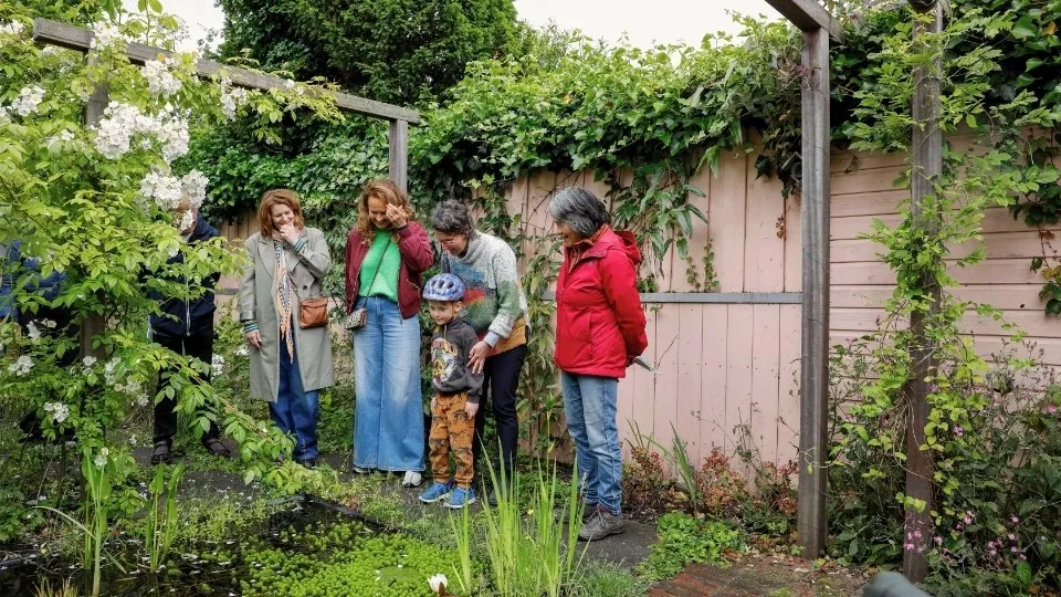 Afbeelding Je tuin openstellen? 12 tips voor een geslaagde opentuindag
