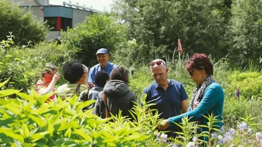 Stap binnen in de mooiste tuinen tijdens Open Tuinenweekend op 20 en 21 juni